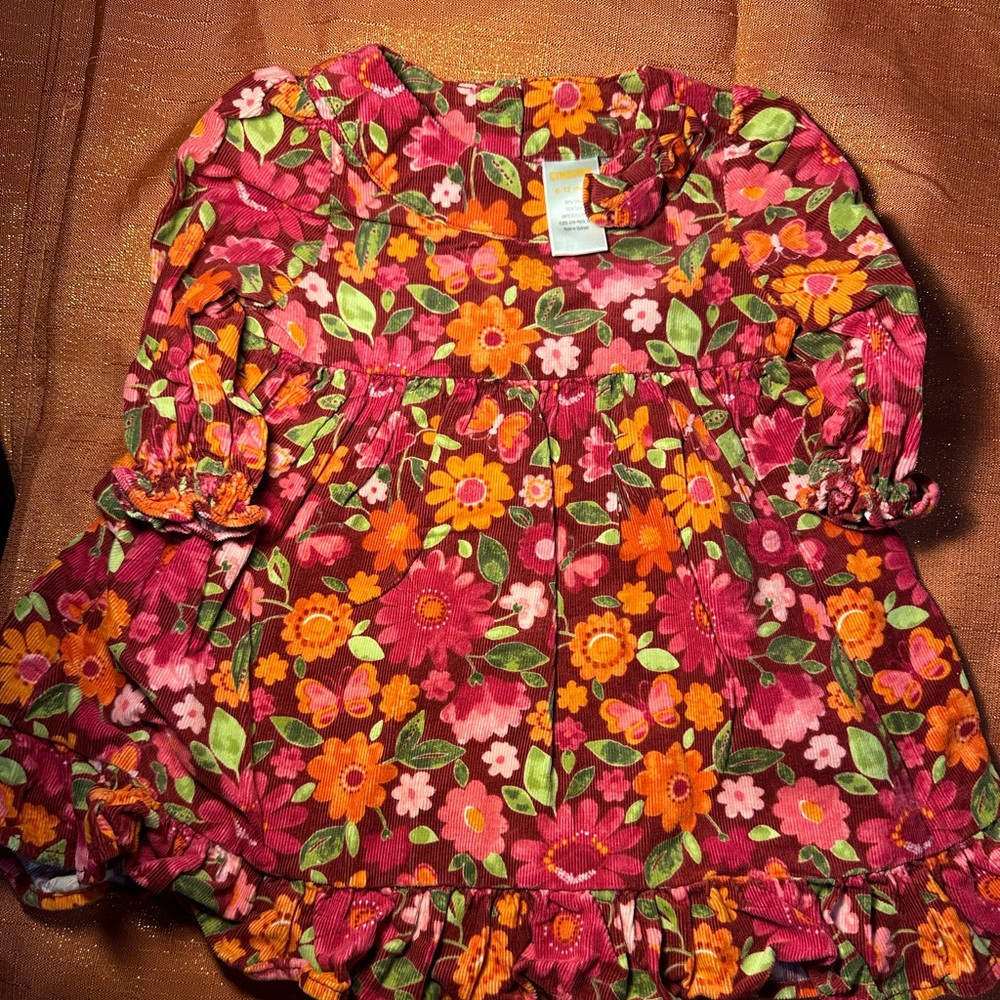 Gymboree Infant Fall Dress